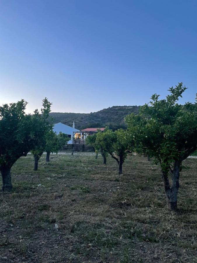 Quinta Da Boa Sorte 에스토이 외부 사진