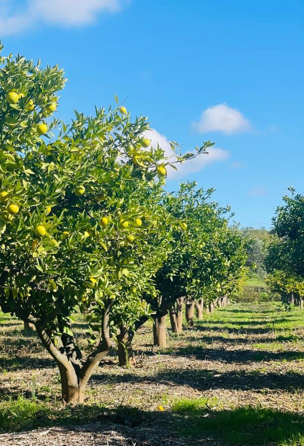 Quinta Da Boa Sorte 에스토이 외부 사진